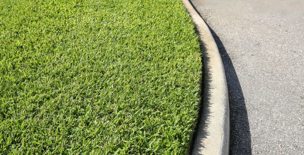 Cost of Street Curb Repair in Greenville