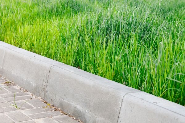 Cost of Concrete Curb Repair in Greenville