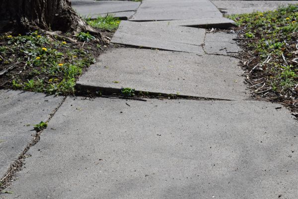 Cost of Trip Hazard Removal in Greenville